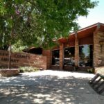 Photo of front of the library showing the unique architecture and the shade trees.
